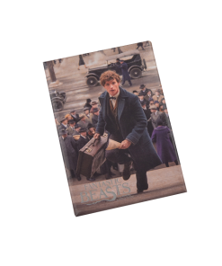 Warner Bros Newt Scamander Photo Magnet