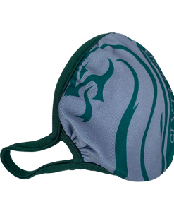 Warner Bros Best Sellers Slytherin Face Covering 10 Warner Bros Best Sellers Slytherin Face Covering
