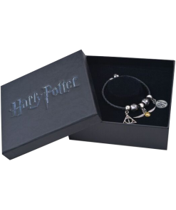 Warner Bros Harry Potter Charm Bracelet Set 10 Warner Bros Harry Potter Charm Bracelet Set